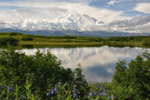 Discover the beauty of Alaska during one of our Team Performance Challenges team building activities