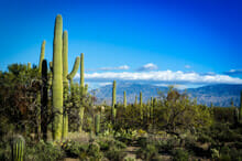 Give back to the community with our Golf for Goodness Sake team building activity in Mesa Arizona