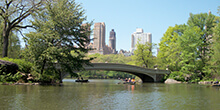 A view of rowboats in Central Park guring our Get, Set, Go! team building activity in New York City