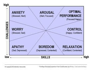 Flow - Happiness at Work - Map of Everyday Experience