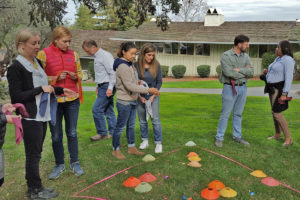 team-members-talking-in-pairs_team-building